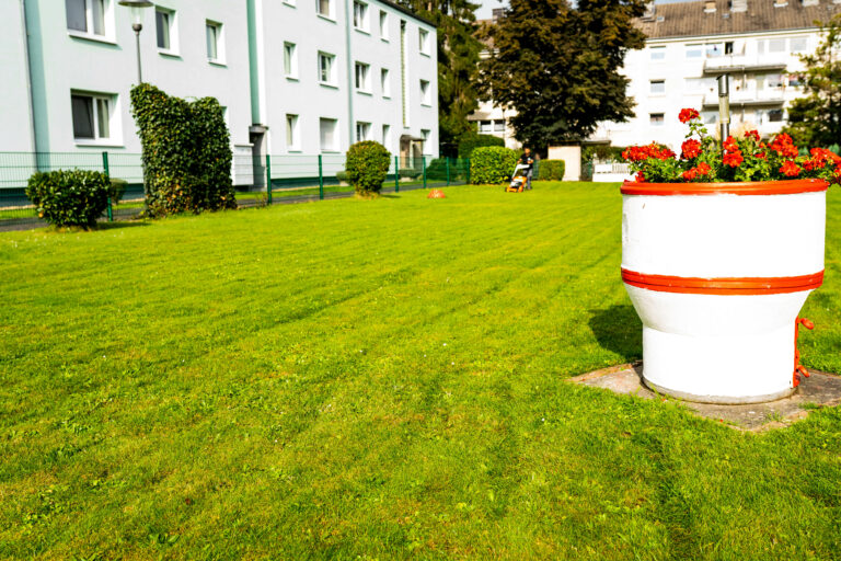Gebäudereinigung-köln-Gartenpfege