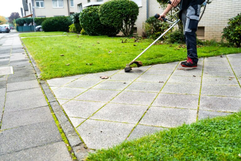 Gebäudereinigung-köln-Gartenpfege-gartenservice