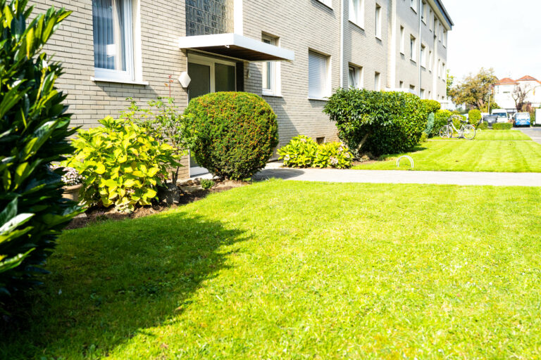 Gebäudereinigung-köln-Gartenpfege-heckenpflege