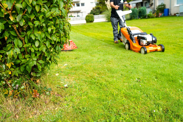 Gebäudereinigung-köln-Gartenpfege-rasenpflege