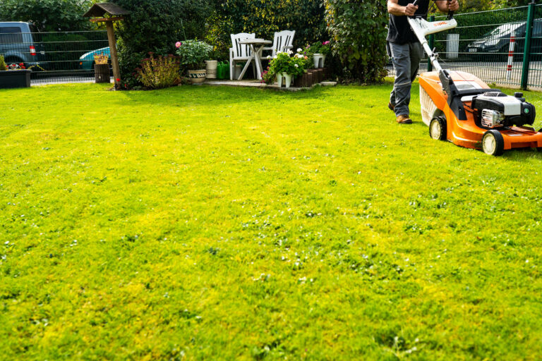 Gebäudereinigung-köln-Gartenpfege-rasenservice