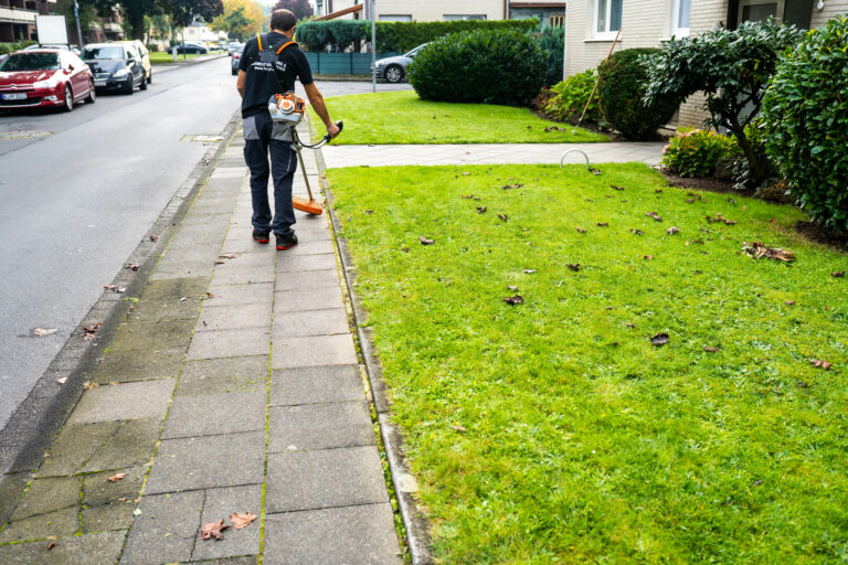 Gebäudereinigung-köln-Gartenpfege-unkraut-beseitigungjpg